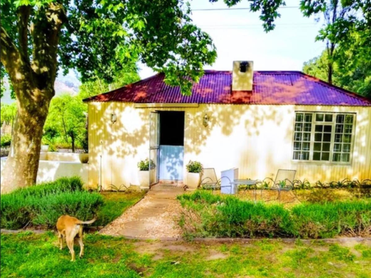 פרנצ'הוק Cabernet Cottage Be Still And Know מראה חיצוני תמונה