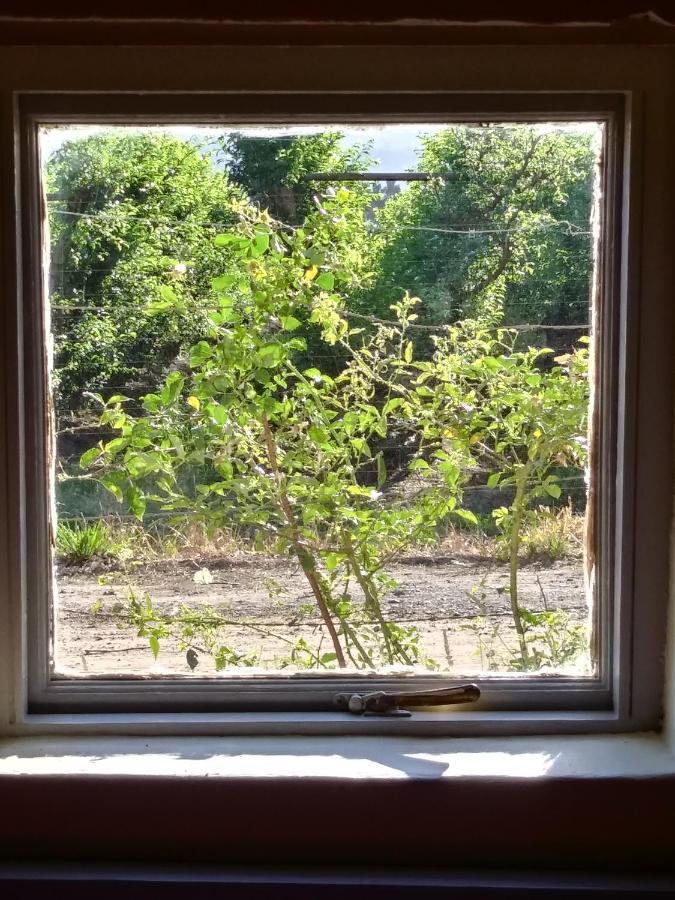 פרנצ'הוק Cabernet Cottage Be Still And Know מראה חיצוני תמונה
